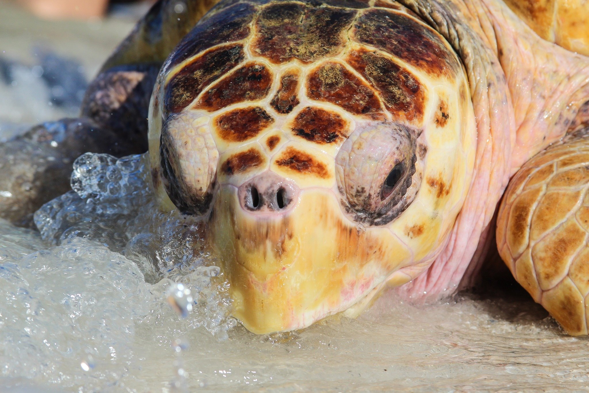 211515855_10160989014925130_4365185938841085491_n