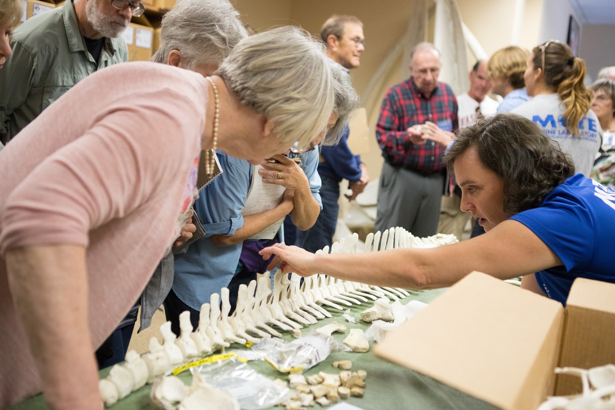 243959990_10161212408095130_2723260509659020417_n