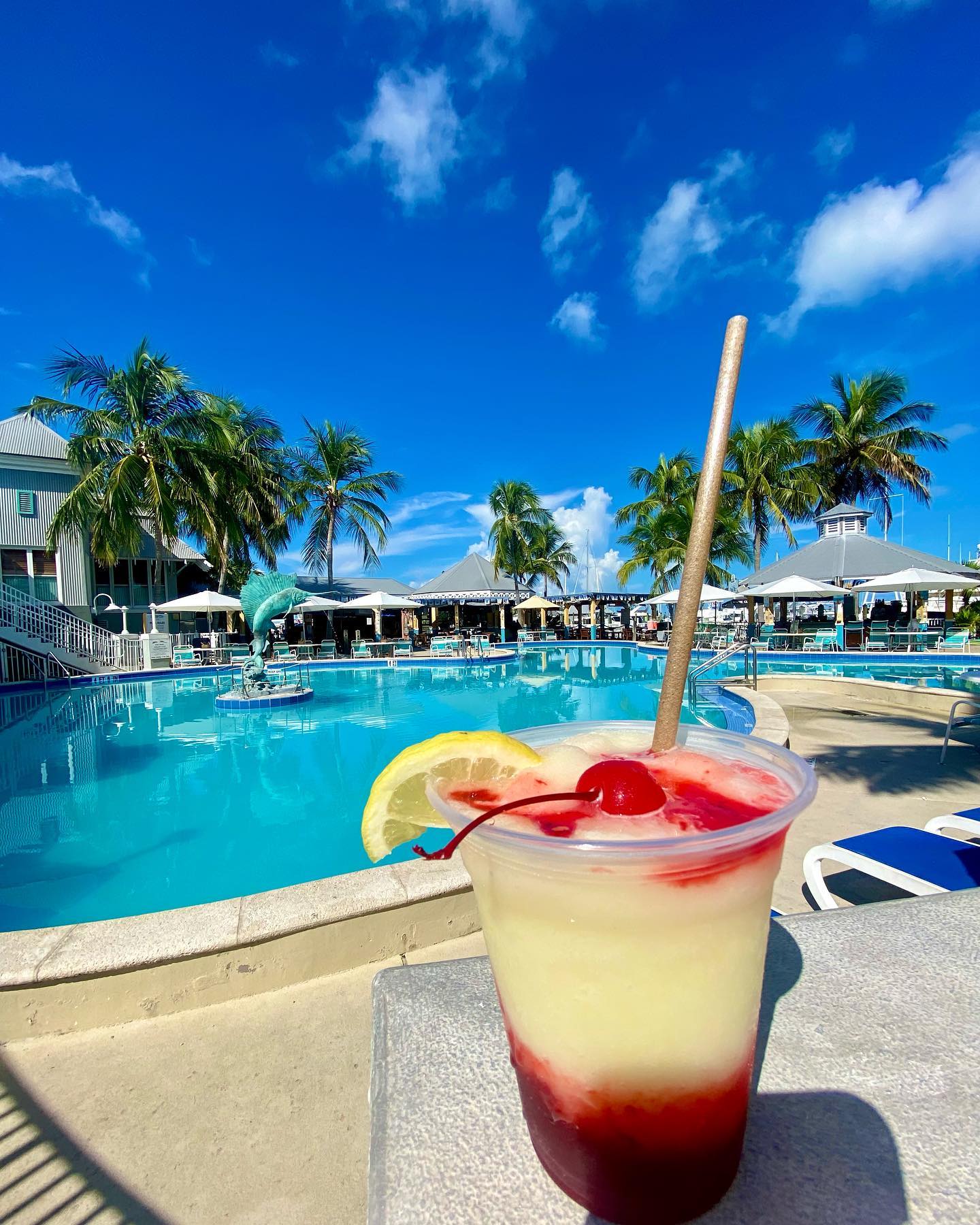 244295598_10161127321894392_1429912024640626917_n