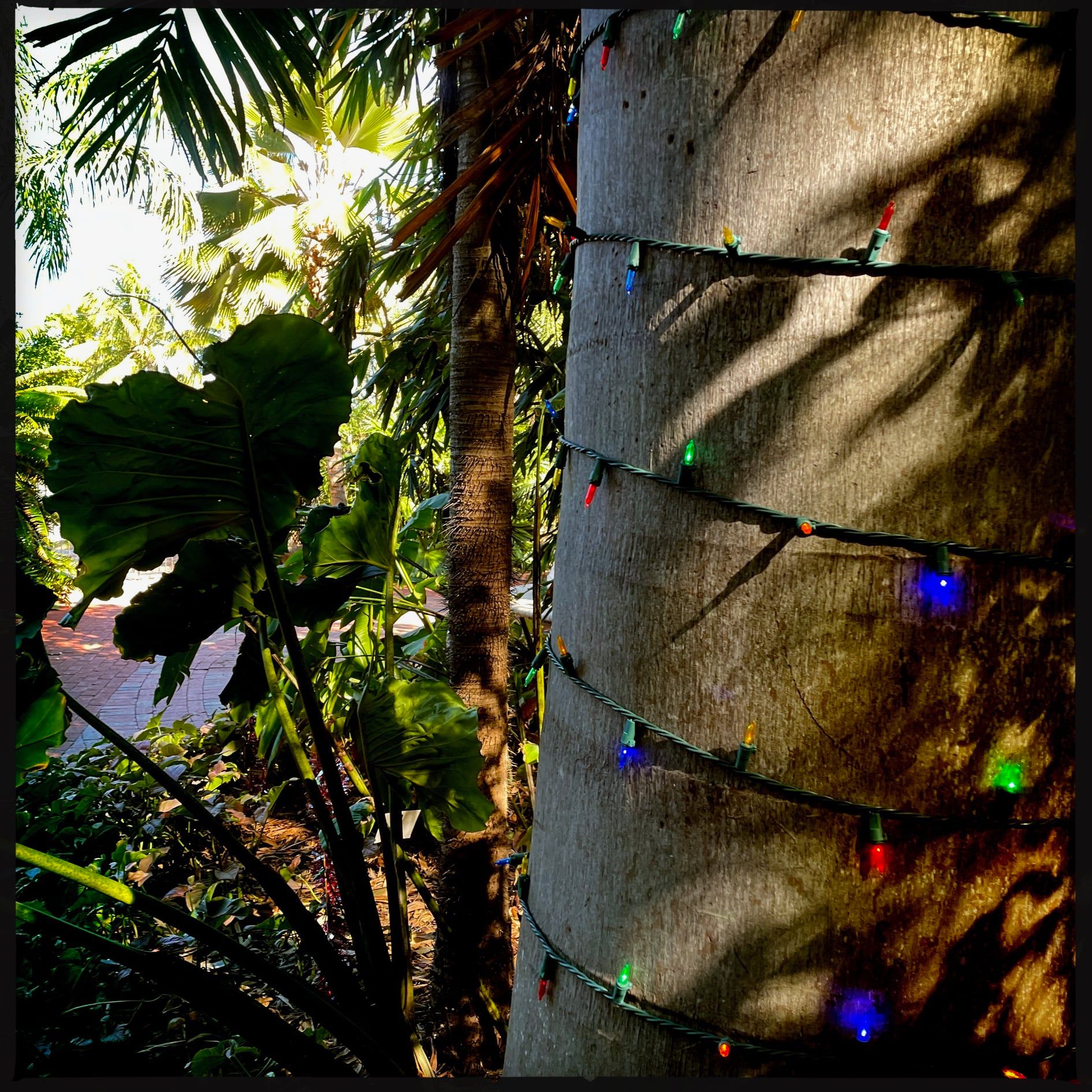 262863013_5326247777401806_643334863015957014_n