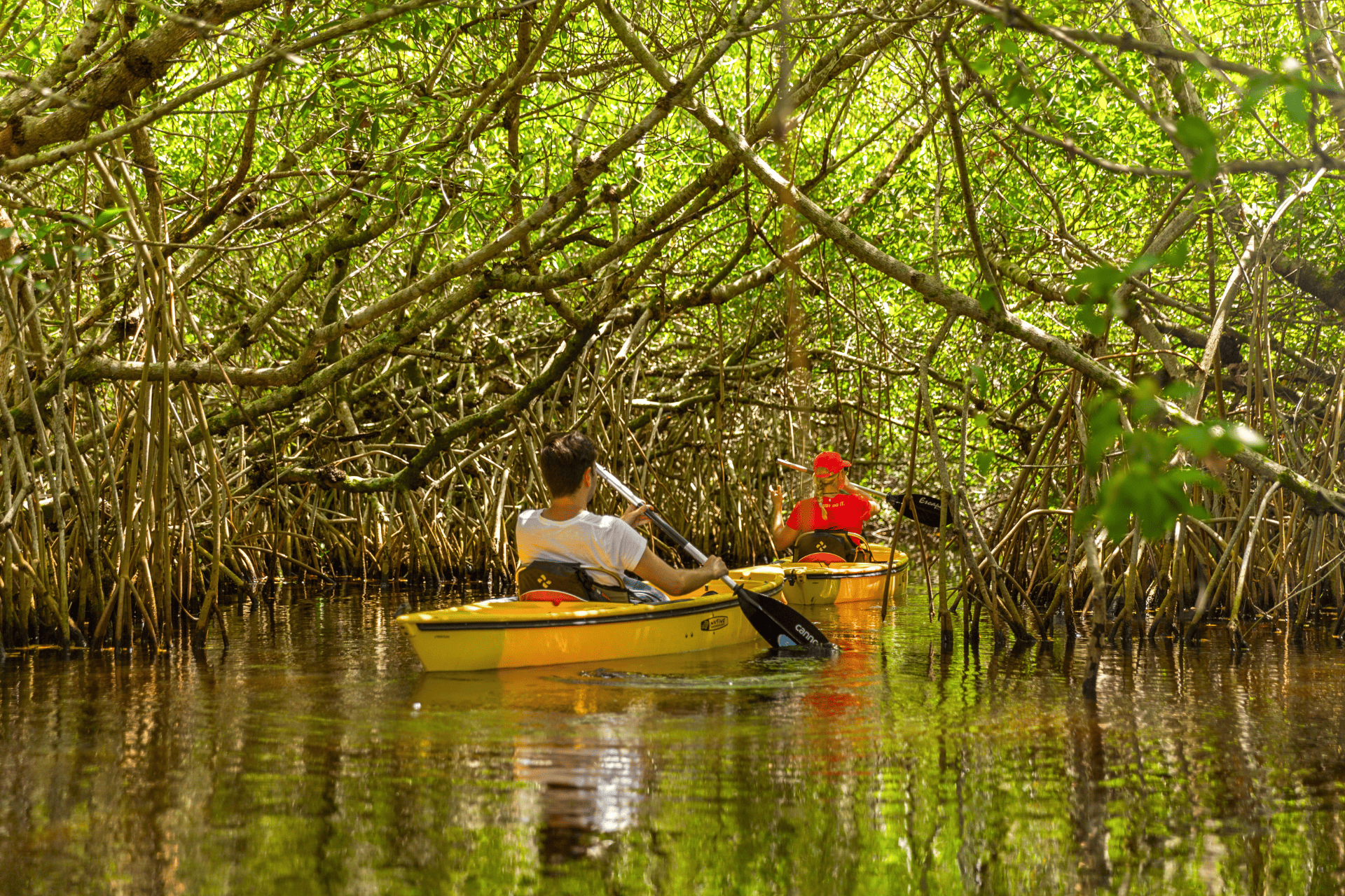 Florida Keys Mangrove Tunnel Kayaking 1