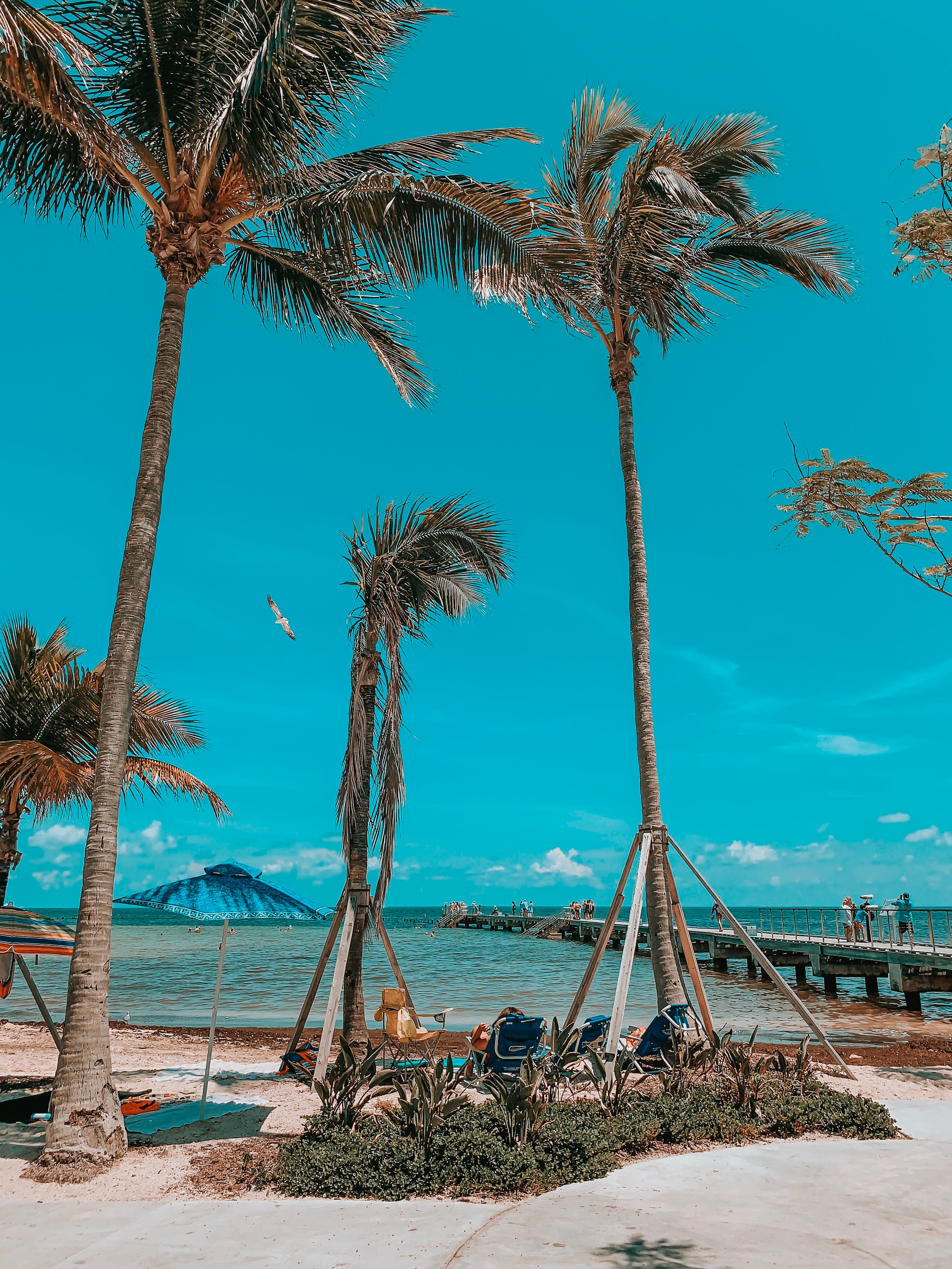 domenick-dibenedetto-reis-_N1r8Sc4mAg-unsplash