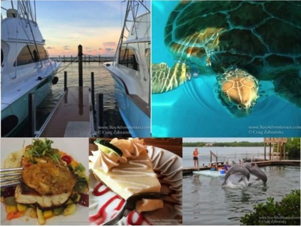 floridakeys-restaurants-turtles-dolphins