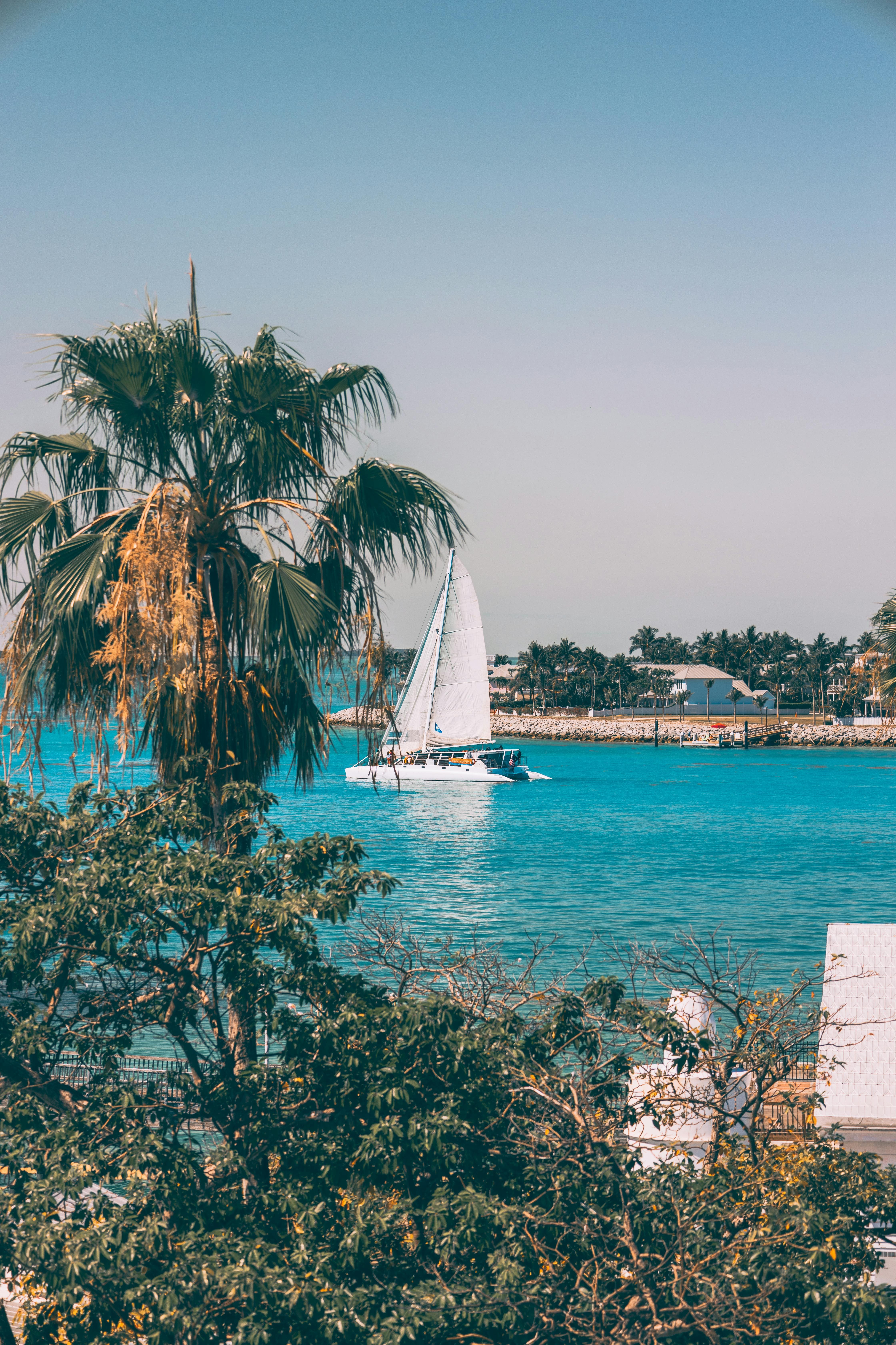 pexels-ogproductionz-15822440 (1)