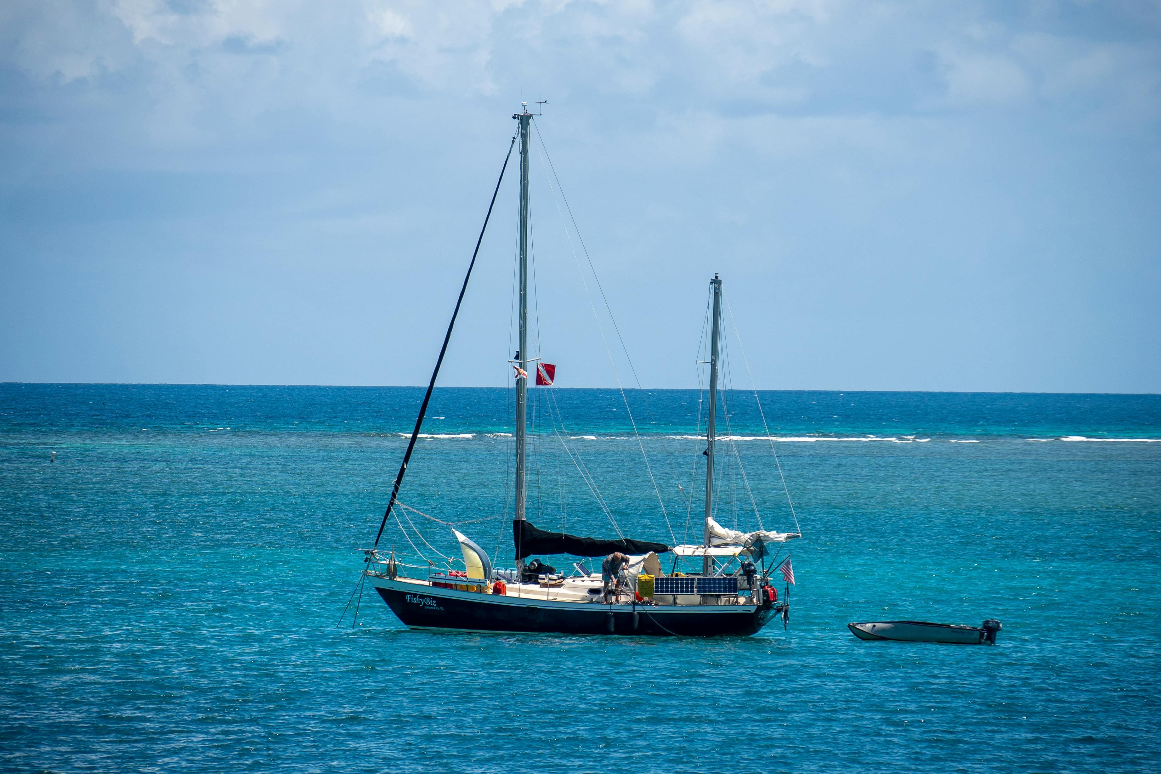 pexels-olliecraig1-28084251 (1)