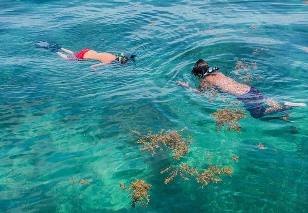 florida-keys-kids-snorkel